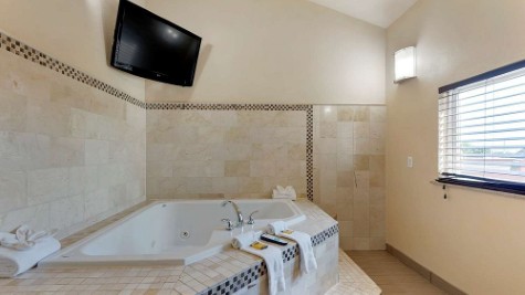 Best Western Plus Arlington North Hotel & Suites