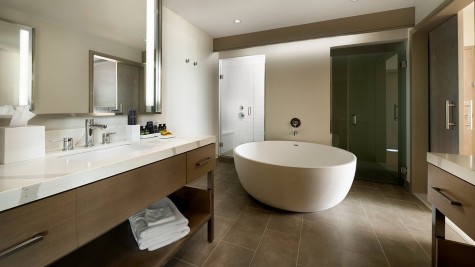 Canopy by Hilton Dallas Frisco Station