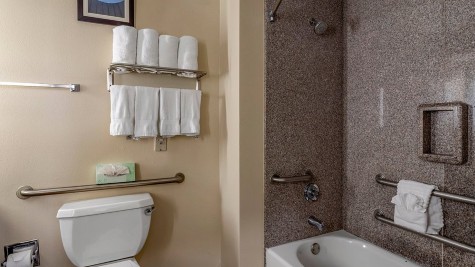 Comfort Suites near Texas Medical Center