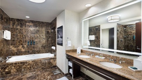 Hilton Americas-Houston