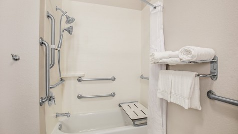 Holiday Inn Express Hotel & Suites Dallas