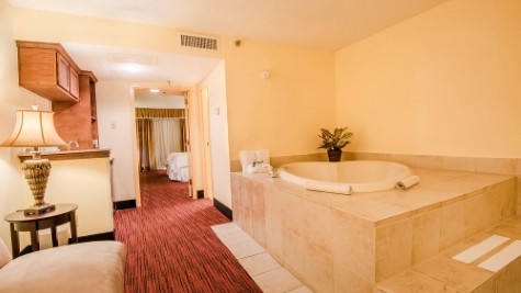 MCM Elegante Hotel and Suites – Dallas