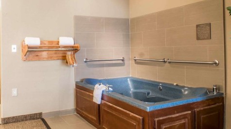 Comfort Inn Edinburg South