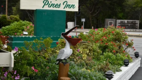 monterey-pines-inn-main-hero